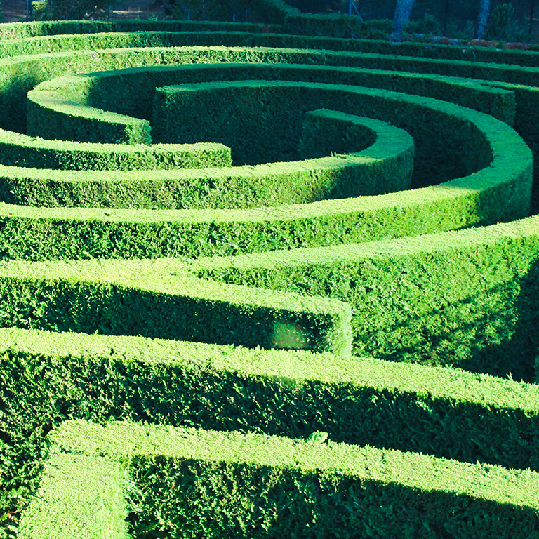 Green nature maze