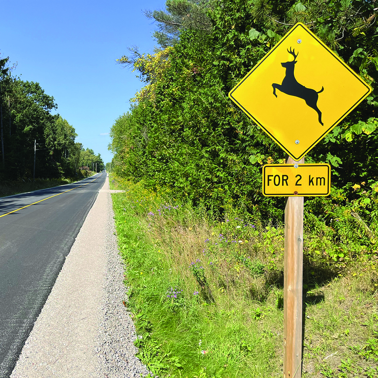 Deer Crossing, Warning Sign in Canada on a new road